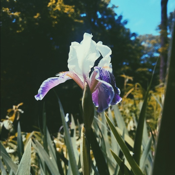 Meet your Posher, Brianna - Picture 1 of 1